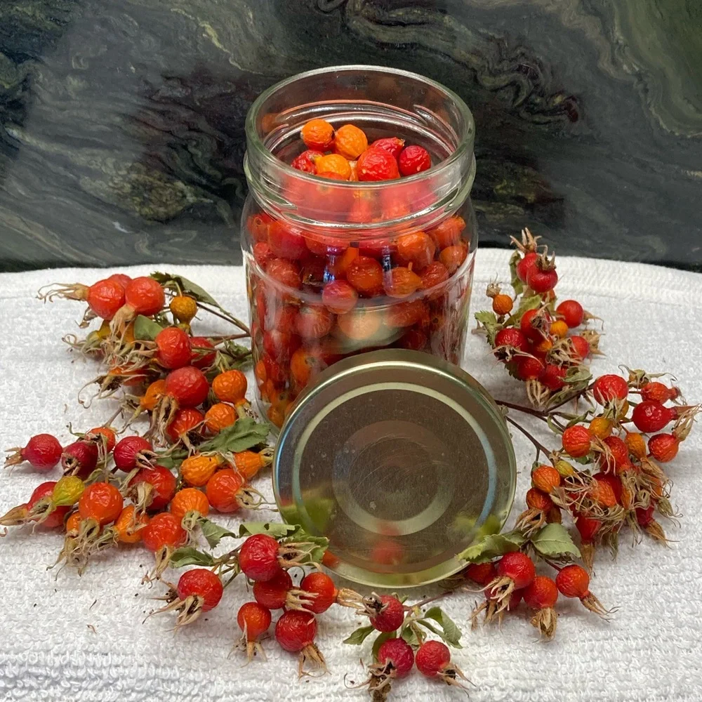 Wild Rose Hips Organic Hand Crafted Bath Soak Gift Jar New